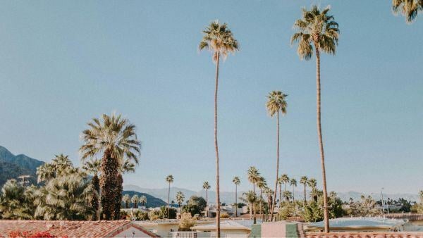 Palm Springs