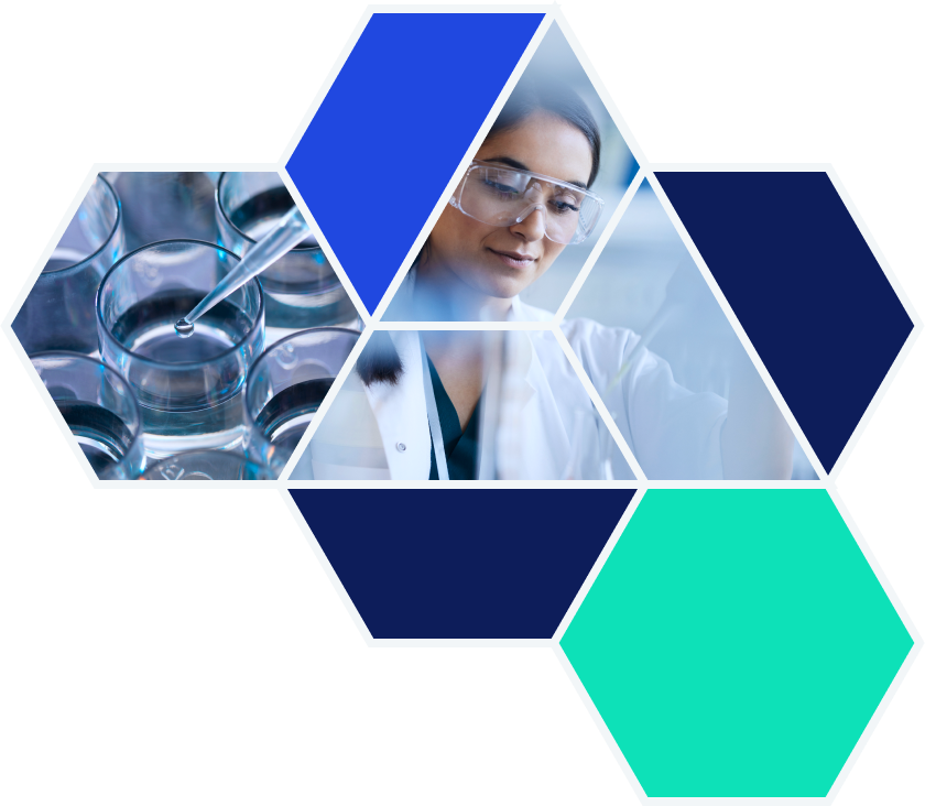 Formulation & Development - Pyramid Pharma Services, Inc.